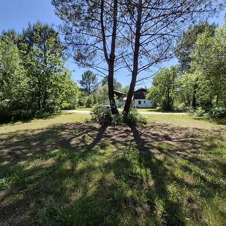 Marina De Talaris Holiday home *